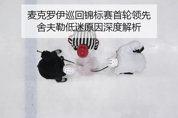 mai-ke-luo-yi-xun-hui-jin-biao-sai-shou-lun-ling-xian-she-fu-lei-di-mi-yuan-yin-shen-du-jie-xi-2-996.jpg